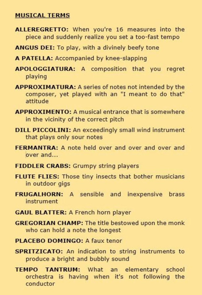 Musical Terms (hilarious, if you're a music nerd!)