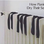 How pianists dry socks.jpeg